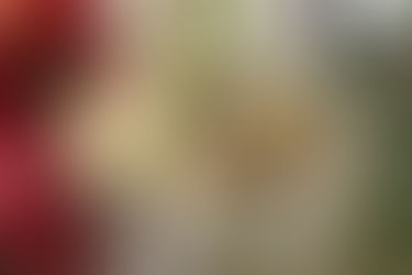 Салат ананасовый