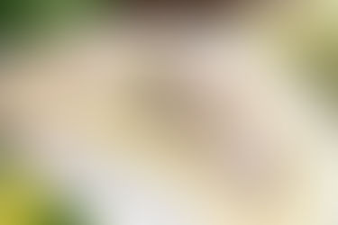 Язык диетический с каперсами