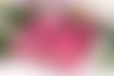 Свекла в сметане