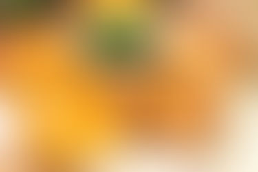 Сыр жаренный в масле