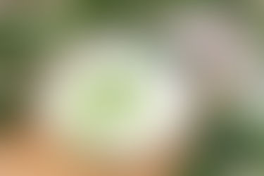 Суп кефирный