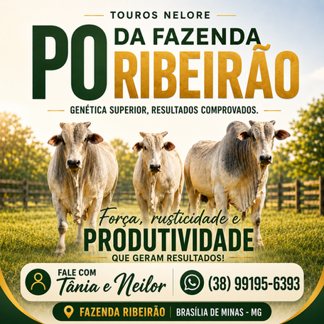tpo