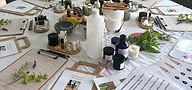 IMG_0632.jpeg
