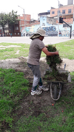 Parque Asunción Violetas