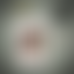 PRÉ-VENDA | O Natal na Woolworths (As Garotas da Woolworths Livro 2)