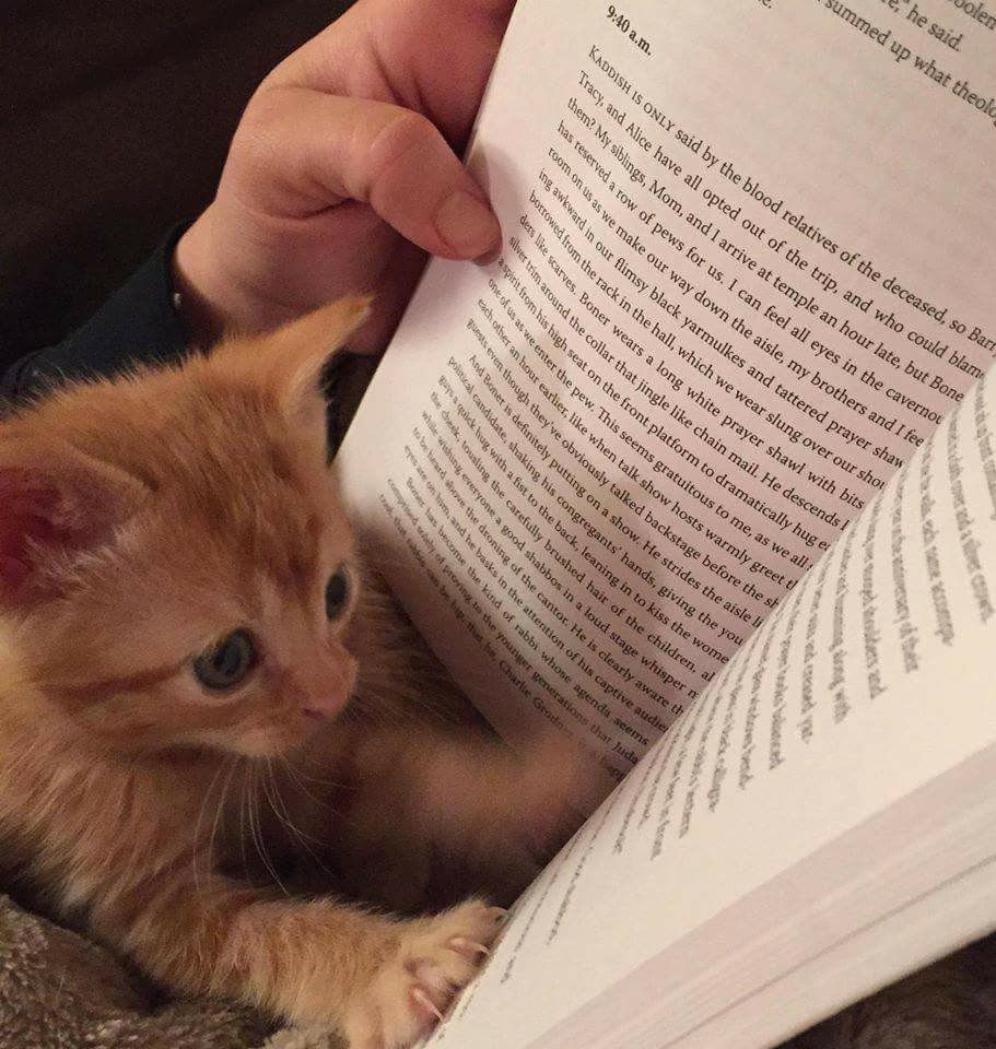 11 - 17 Aralık 2023 Astroloji haftalık yorum