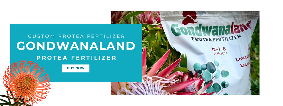 Gondwanaland Protea Fertilizer