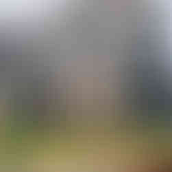 RIPO stiklotās franču margas ar tumšu alumīnija rāmi Oslo dzīvojamā kompleksā