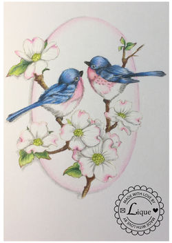 Birdies