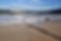 message-in-a-bottle-5322110_1280.jpg