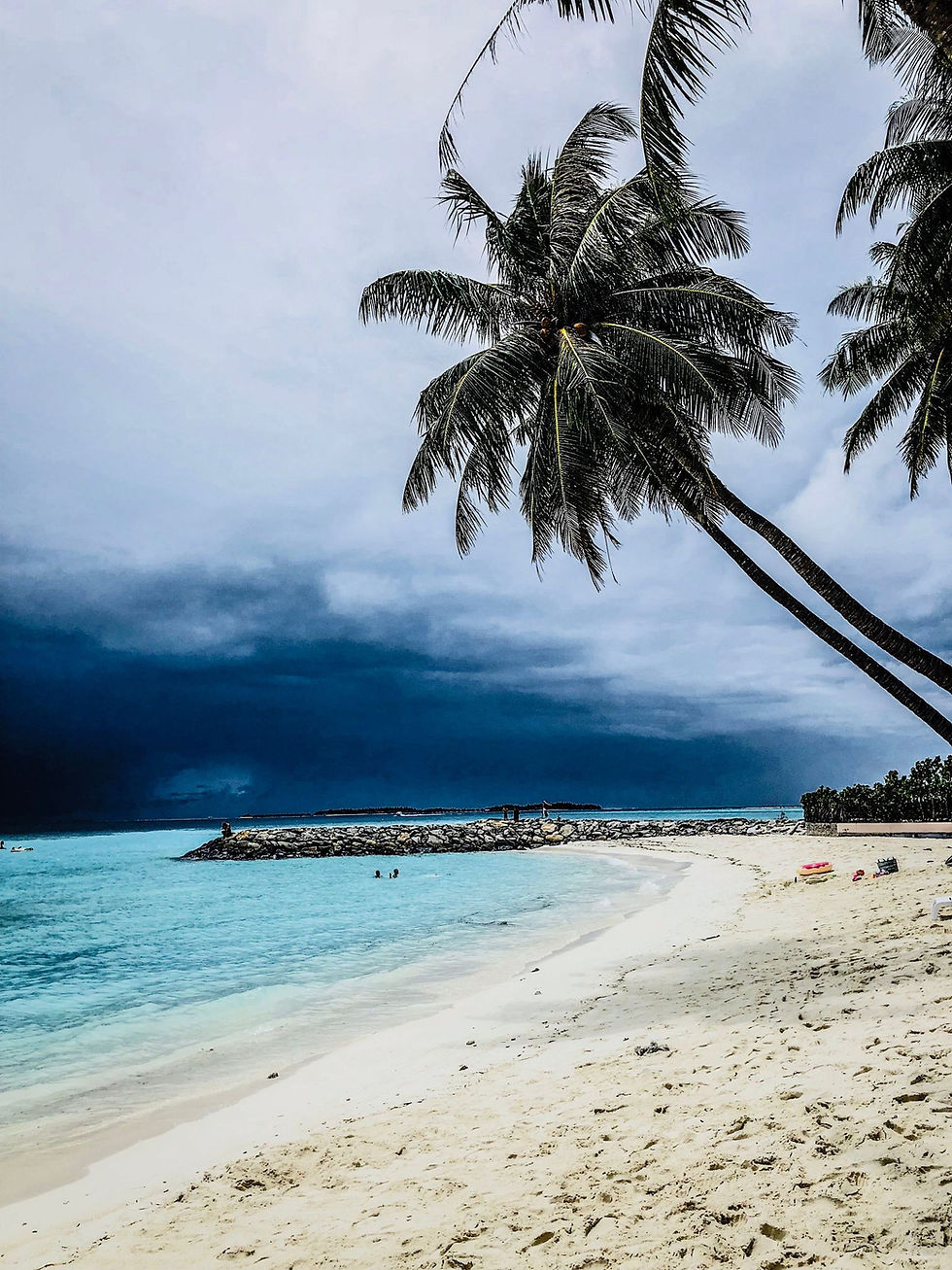 Miniatura: Sri Lanka + Malediwy wyjazd indywidualny