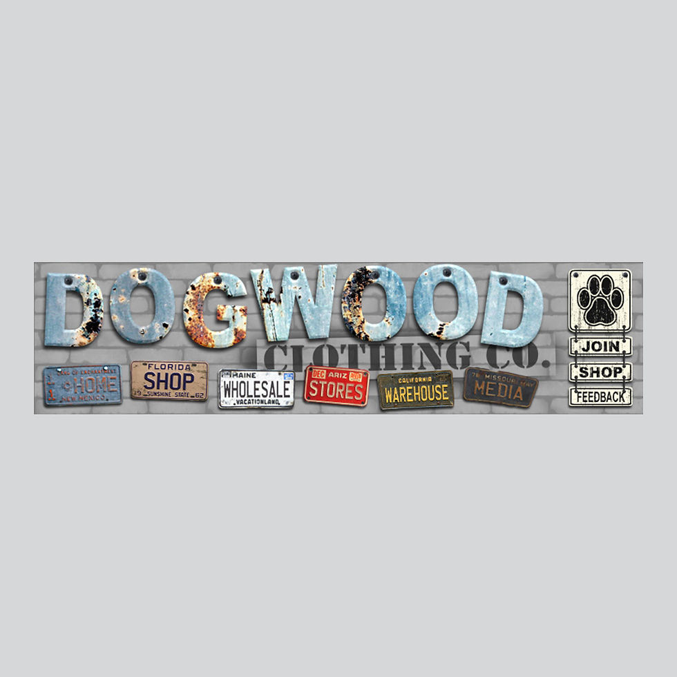 Website Header