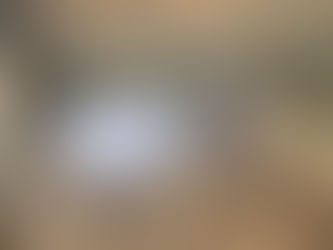 Second Distribution Assembly!