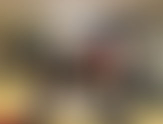 7th Distribution to Halifax Health with DME!