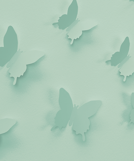 butterfly effect coach image in green