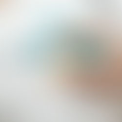 なぜ“英語ゼロ”のままインター校受験は危険なのか