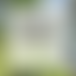 Mutiara International Grammar School【MIGS】・エムアイジーエス