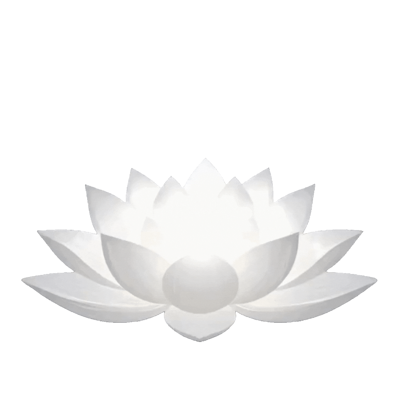 Radiant Authentic Soul Therapy