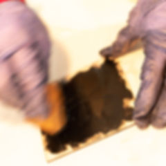 DSCF5280.jpg