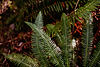 IMG_7909-Edit.jpg