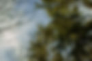IMG_7919-Edit.jpg