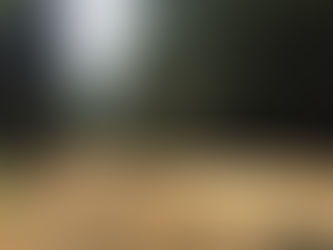 VIDEOS: WHISLER 2018 CON JF