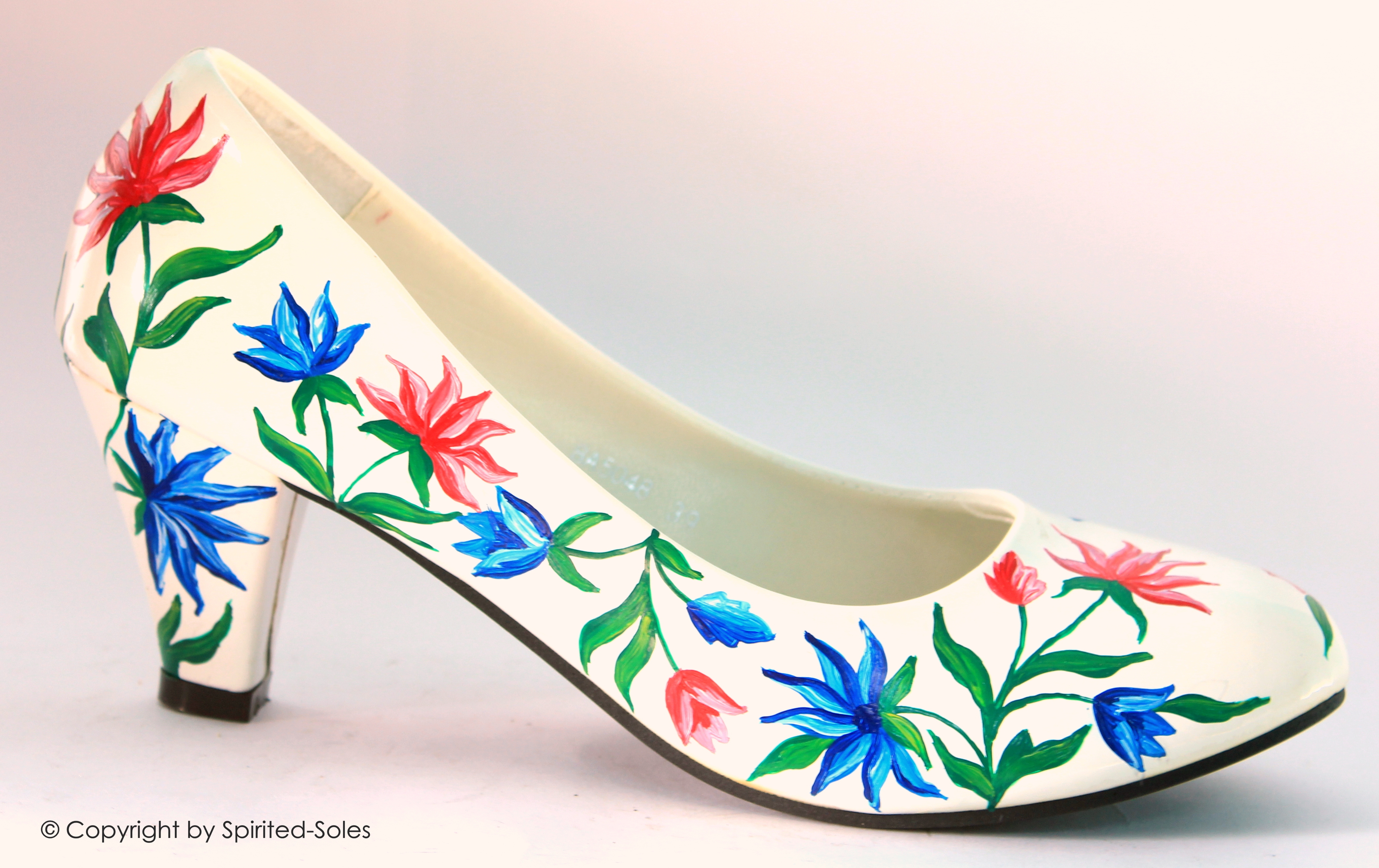 Custom Hand-Painted Shoes