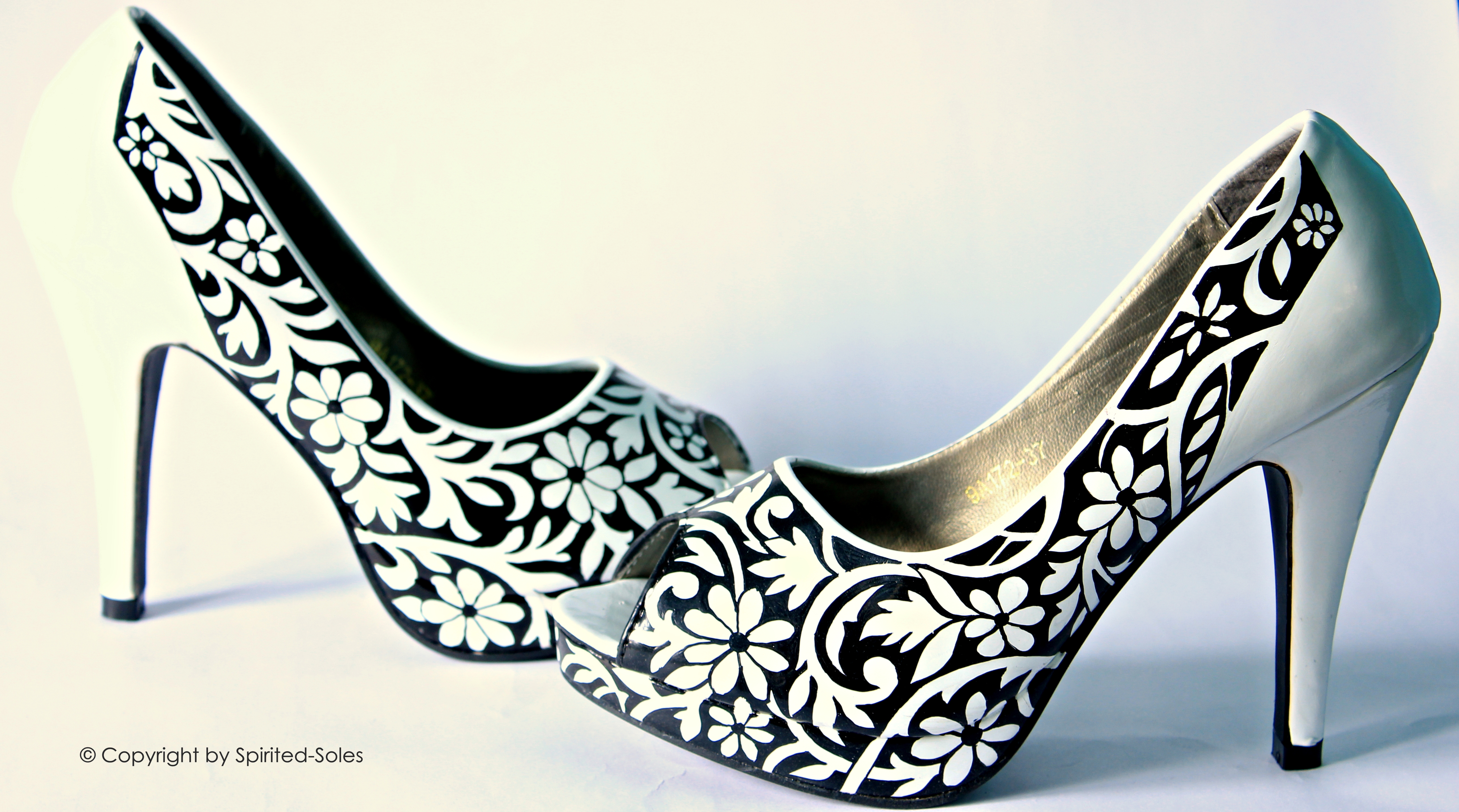 Custom Hand-Painted Shoes