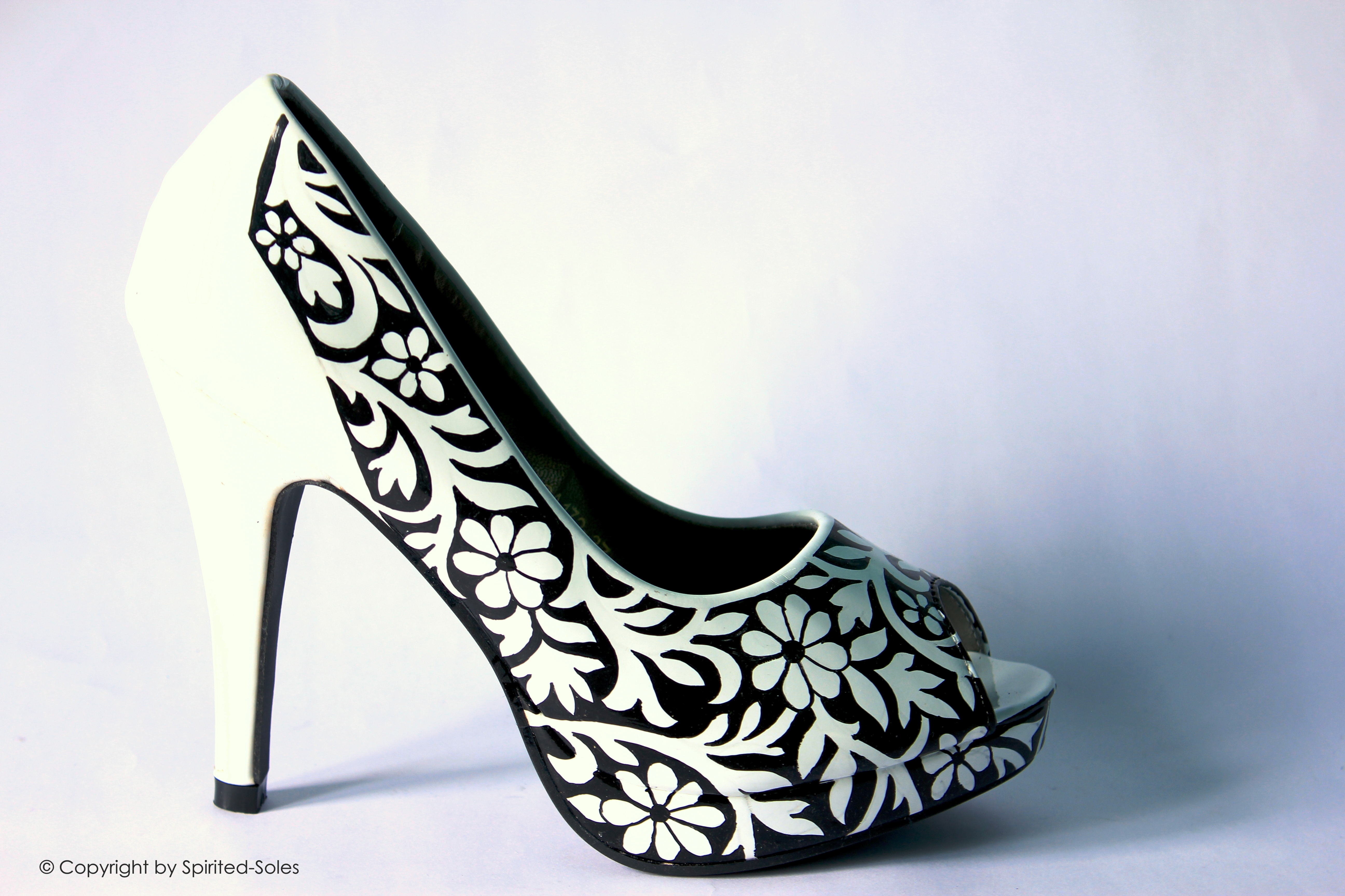Custom Hand-Painted Shoes