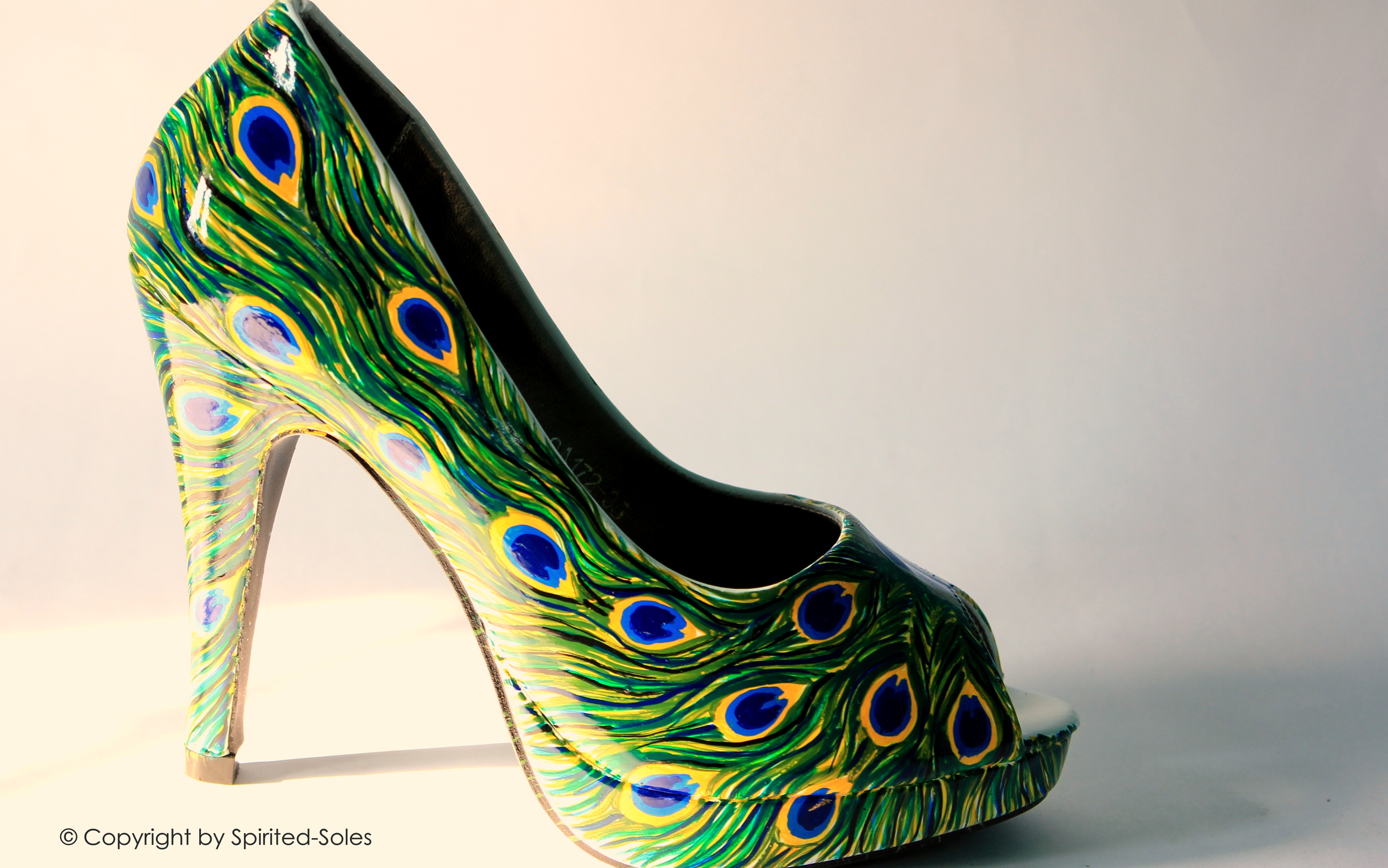 Custom Hand-Painted Shoes