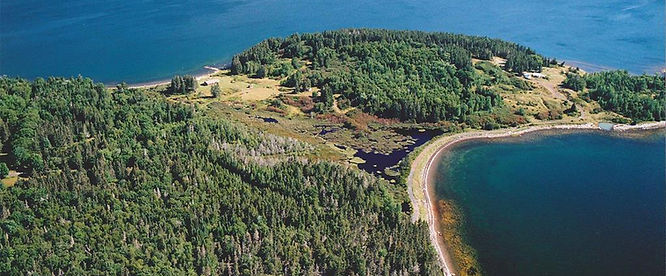 Unraveling the Mysteries of Oak Island: A Deep Dive into the History, Theories, and Ongoing Search for Hidden Treasure 20 ABOUT OAK ISLAND | Oakislandtreasurekid