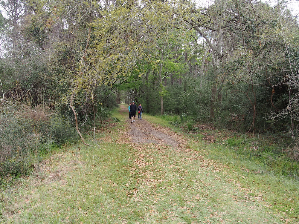 Trails on Pickney Island