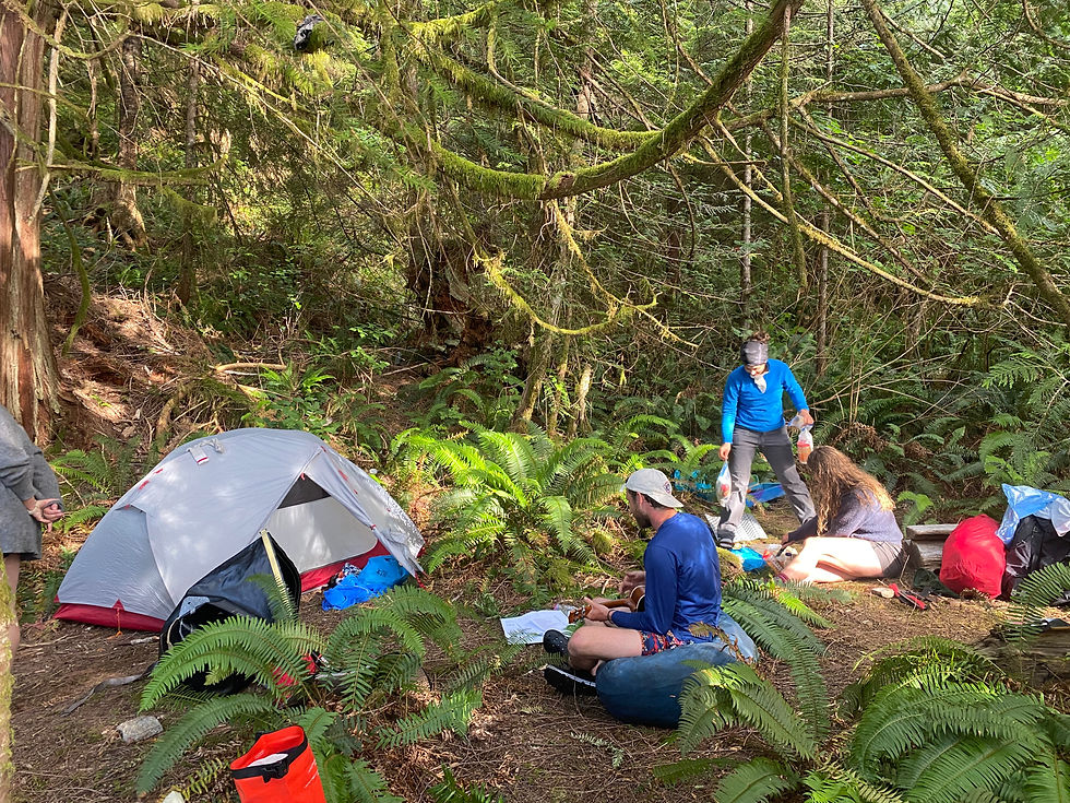 West Redonda Island camping