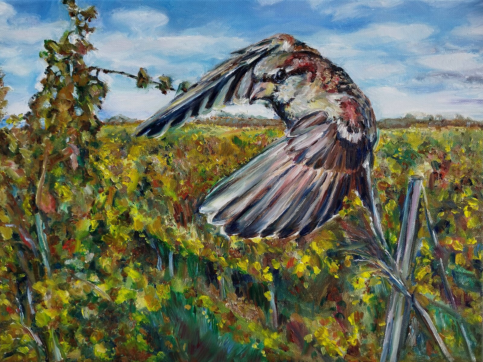 Sparow At Vineyards, oil painting on canvas,  40 x 30 cm