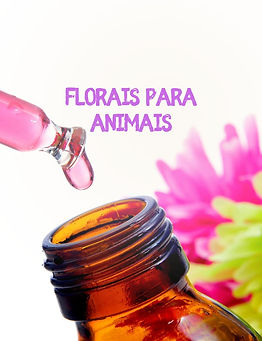 artes cursos (18).jpg