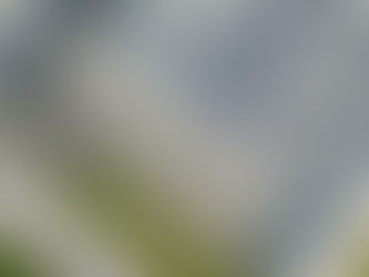 Enhancing Operational Efficiency: Revenue-Grade Metering in PV Installations