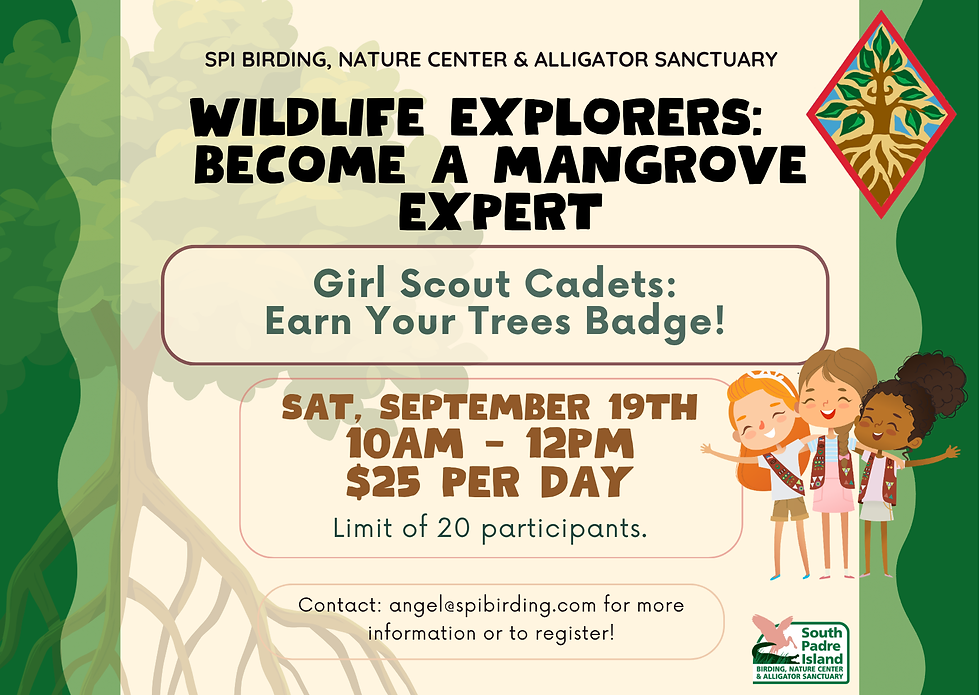 Wildlife Explorers: Become a Mangrove Expert