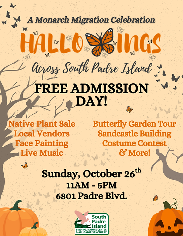Hallowings 2024 (8 x 10 in) (1).png