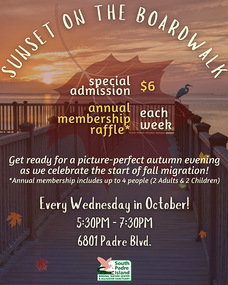 sunset boardwalk 25.png