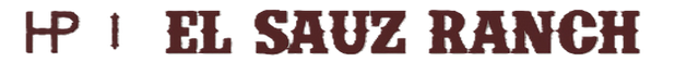 el sauz ranch logo transparent.png