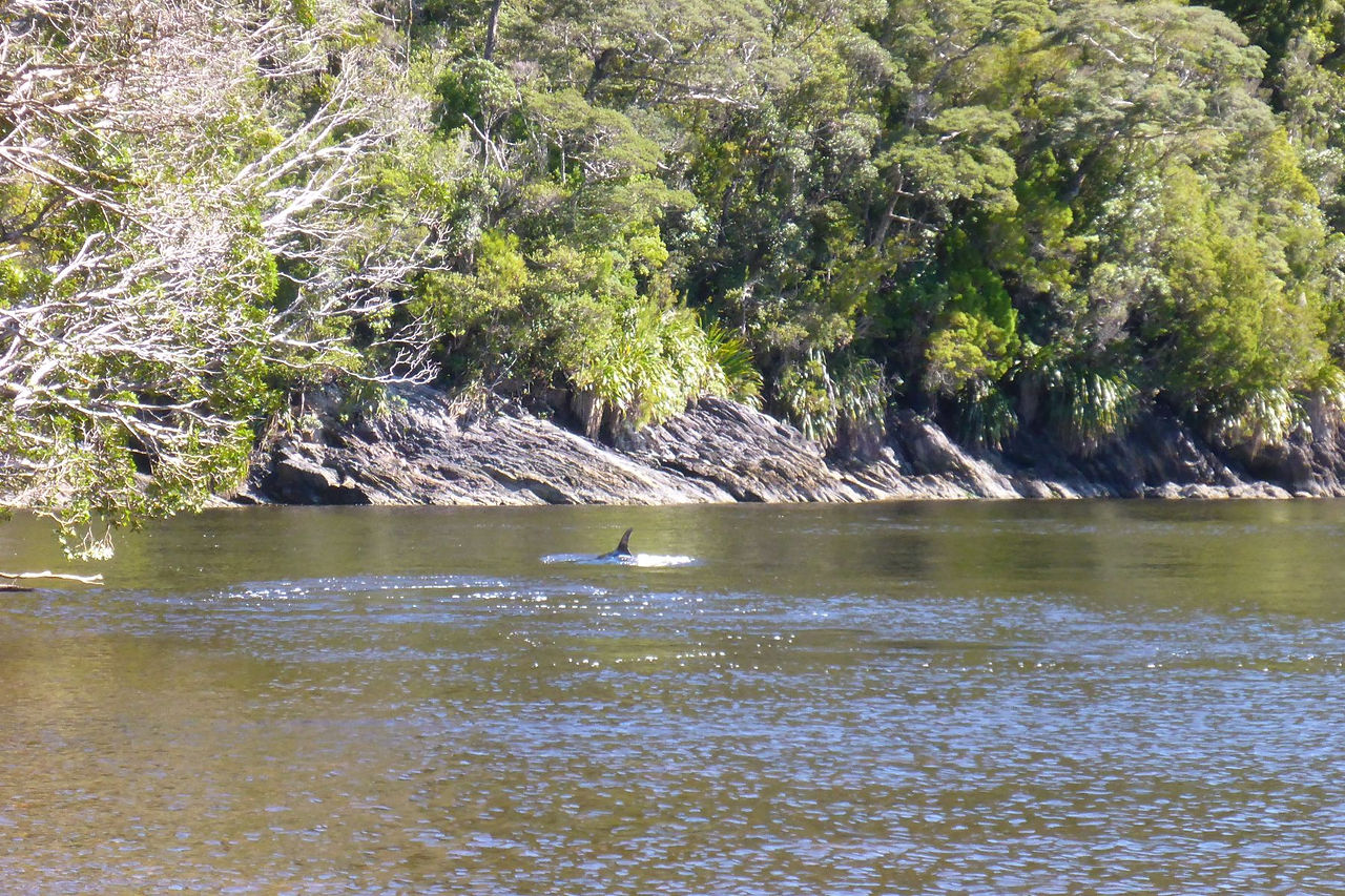 B003 Doubtful Sound