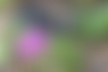 Christchurch – auf schlankem Fuß oder Erdbeben, Stadt mit Strand und die Botox-Spritze