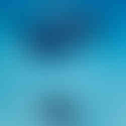 Manta Ray W Maldives