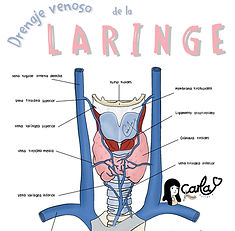 Bloc de notas sin título (2)-1.jpg