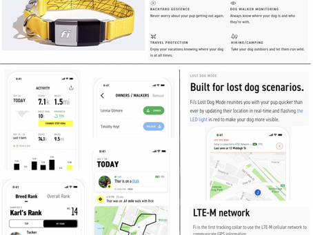 Fi collar can prevent lost dogs - for good.