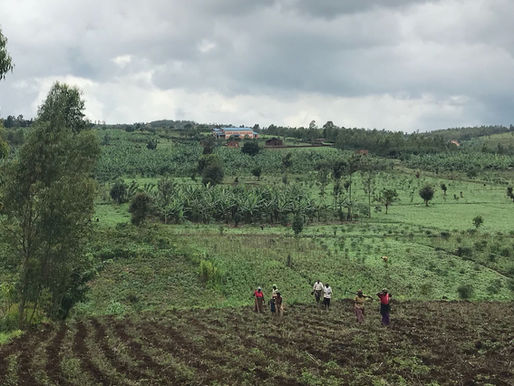 Gender integration across agriculture, income generation and nutrition programs