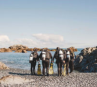 d8f786_c485e0914747417a8caea724b4cc6118~mv2 (1).jpg