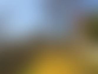 Old stone tower with a red roof amidst bare trees and bright yellow flowers on a sunny day. The setting is calm and picturesque.