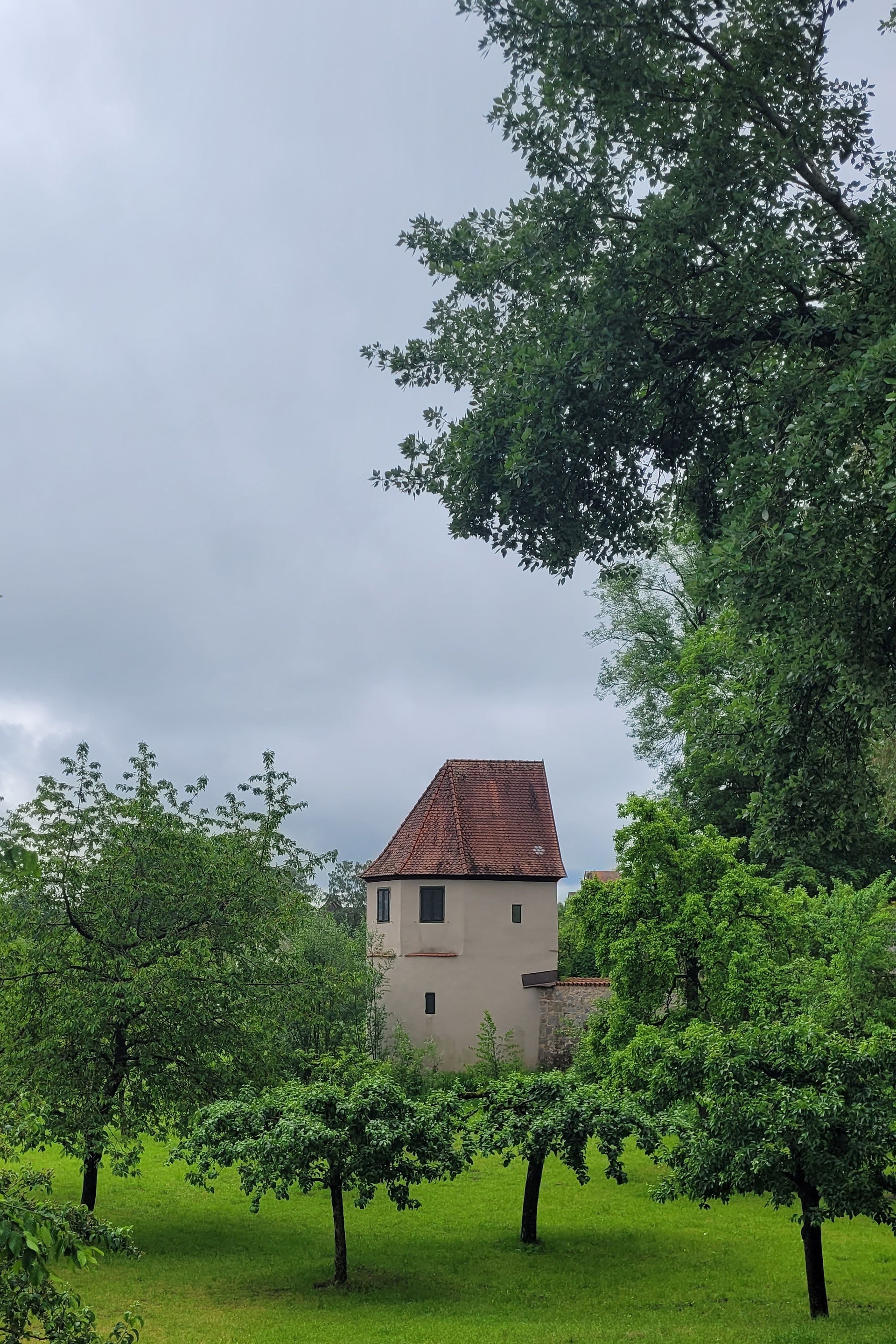 Dinkelsbühl. May 2024