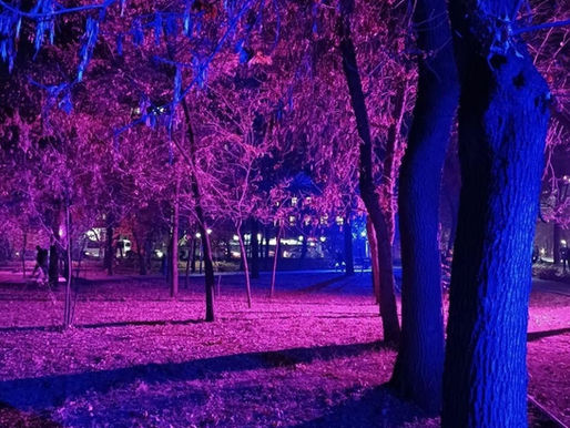 Trees in a park illuminated by vibrant purple and blue lights at night, creating a magical and serene atmosphere. Dimly lit background.